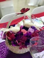 IMG E2537