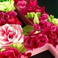 IMG E3538